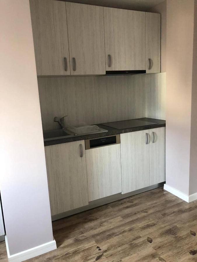Sighisoara Apartment מראה חיצוני תמונה