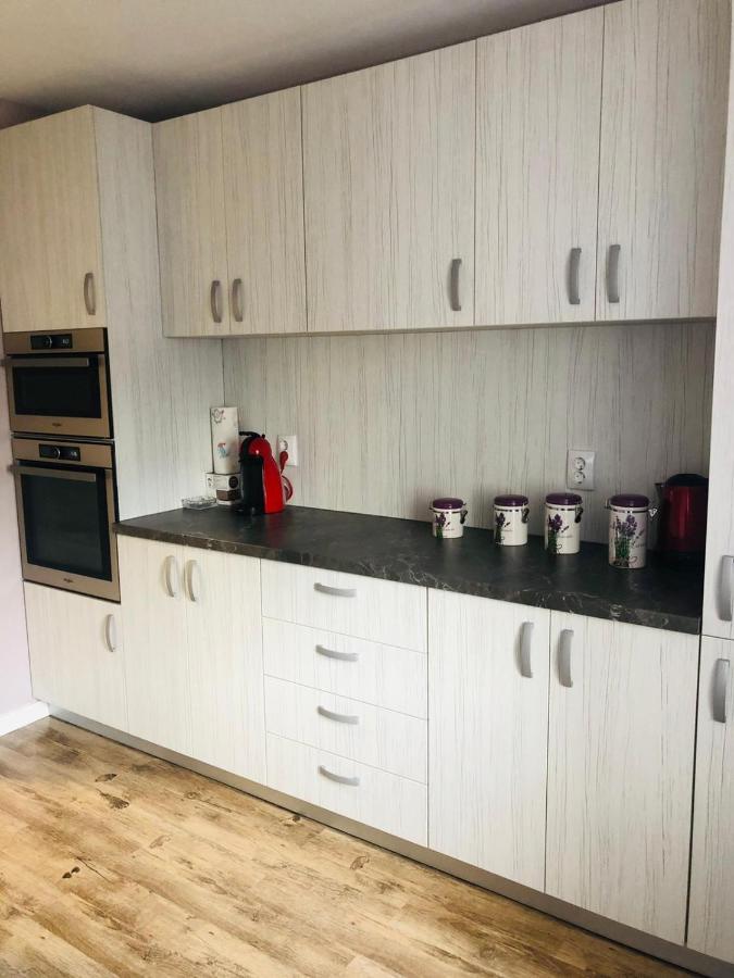 Sighisoara Apartment מראה חיצוני תמונה
