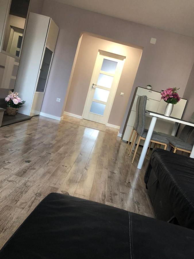 Sighisoara Apartment מראה חיצוני תמונה